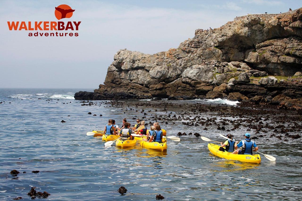 Braeview Guest House Hermanus Exterior foto